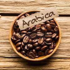 arabica